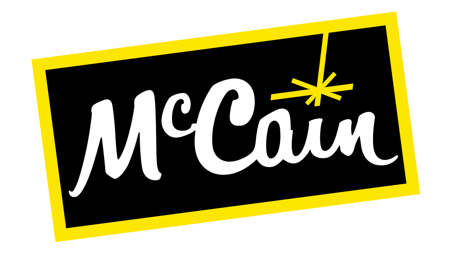 Mc Cain Foods logo 1536x864